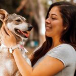Young child gently petting a friendly golden retriever dog