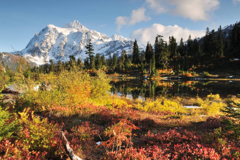 Seattle Fall Guide: Best Activities, Colors & Weather Tips 2025